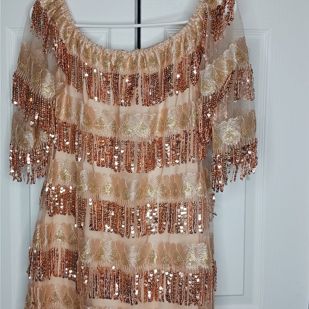 Chartou Off The Shoulder Fringed Sequin Party Style Dress NWT - Picture 5 of 11